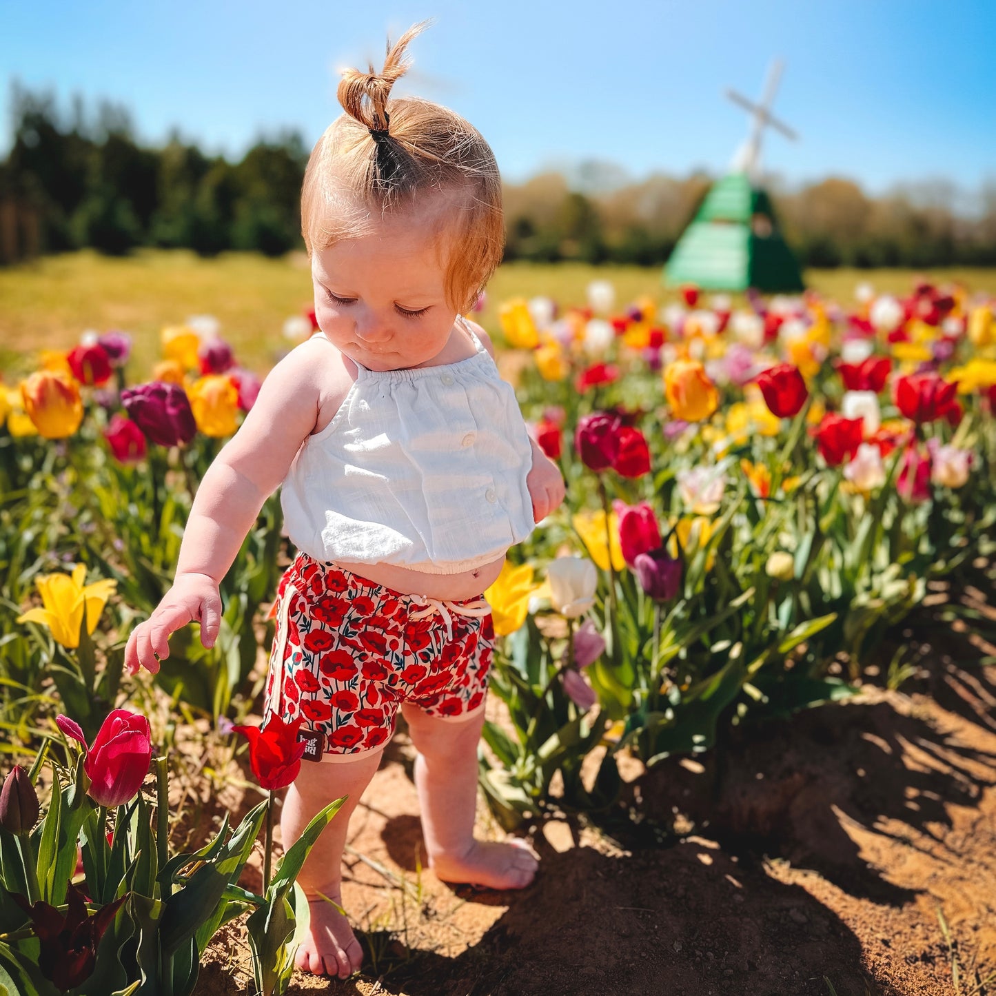 Poppy Hybrid Swim Shorts