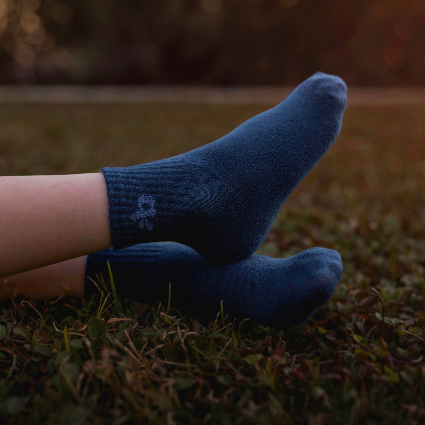 Alpine Socks