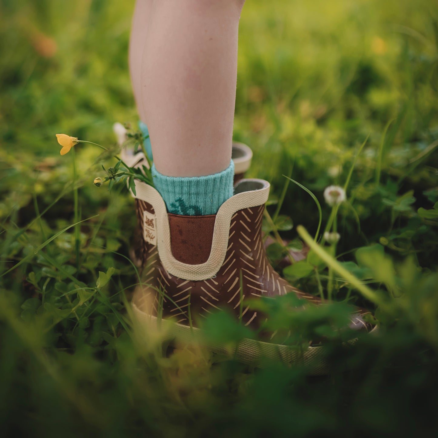 Spruce Socks