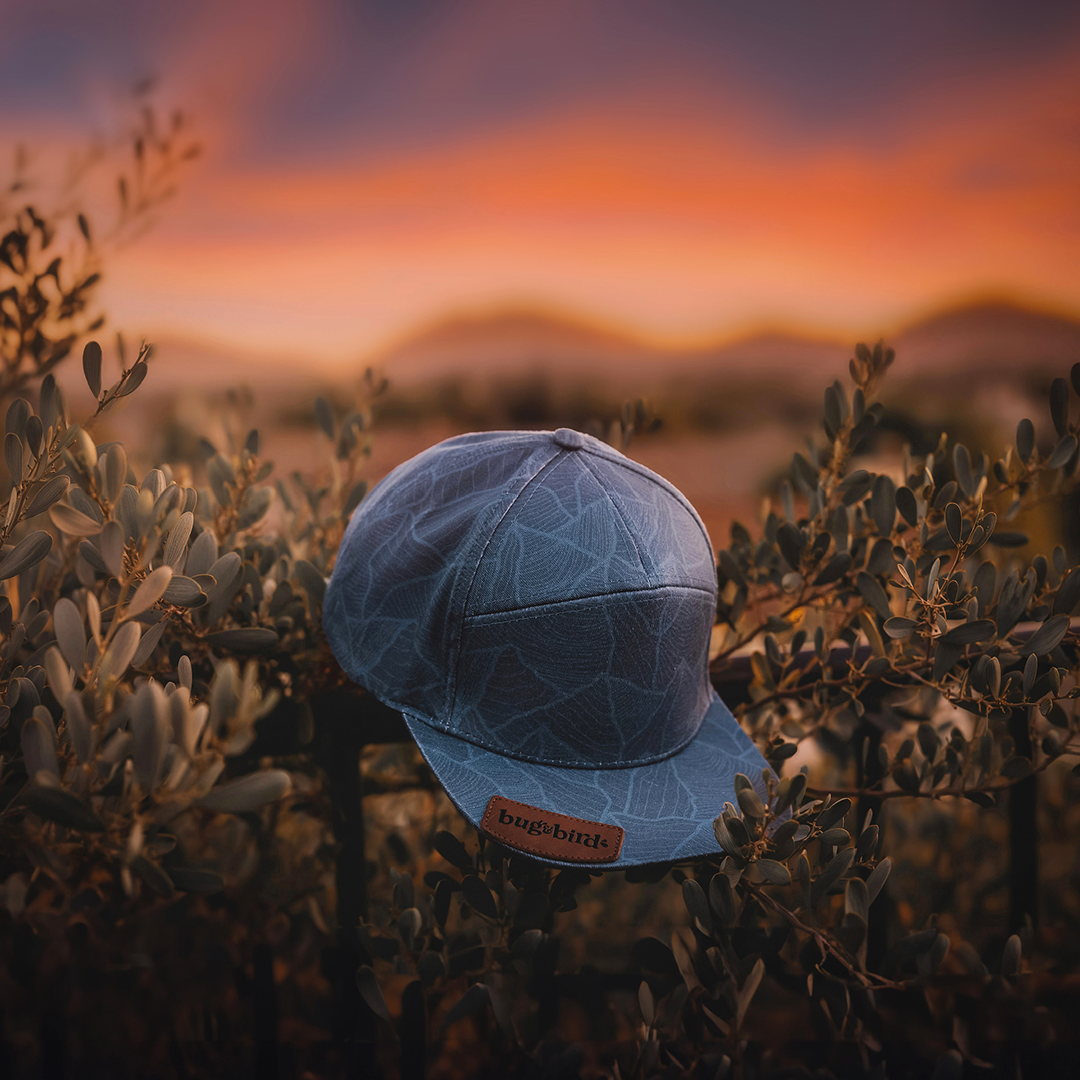 Alpine Snapback