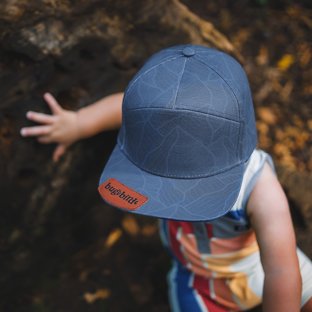 Alpine Snapback