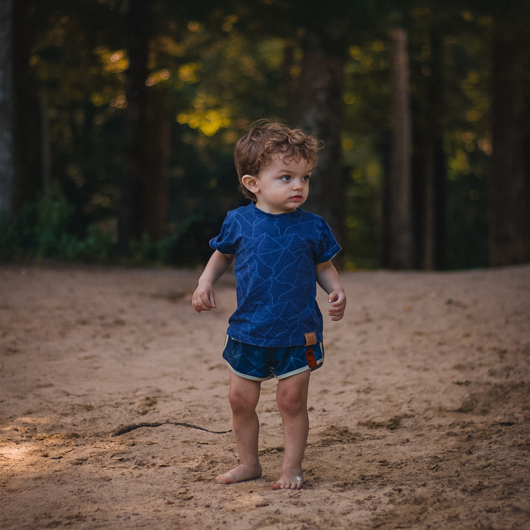 Alpine Hybrid Swim Shorts