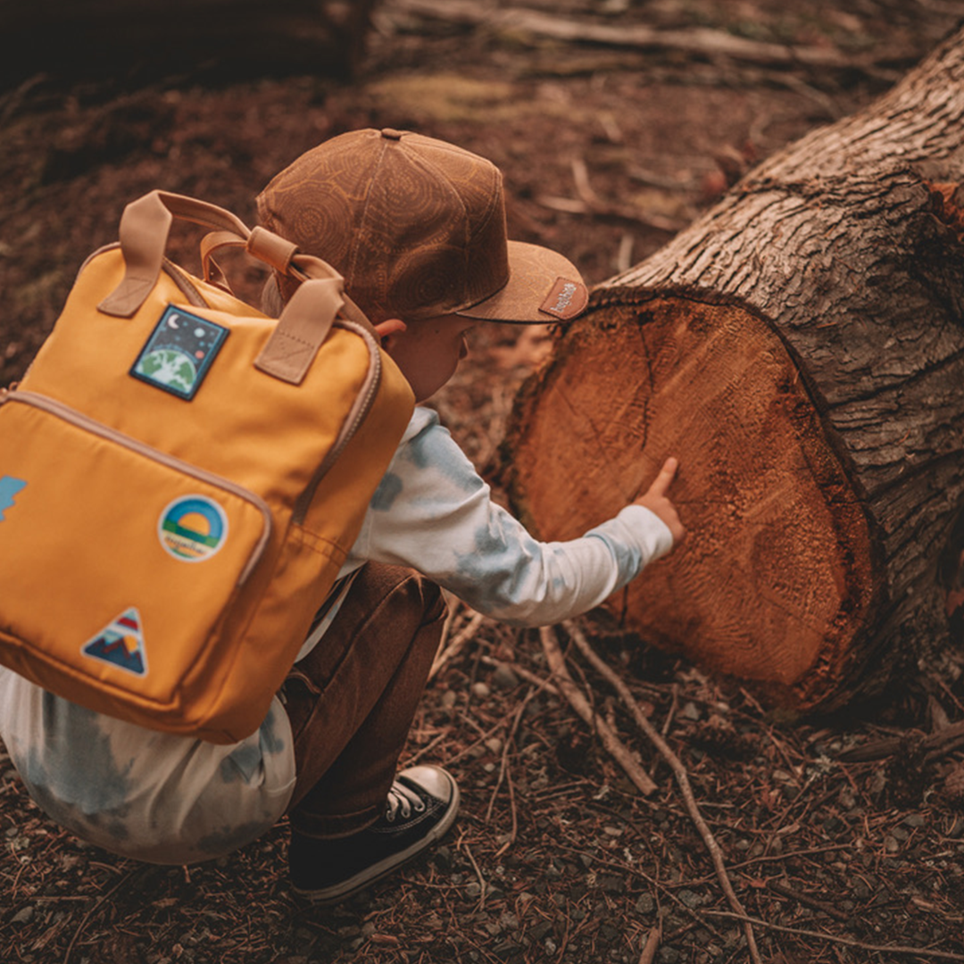 Oak Snapback