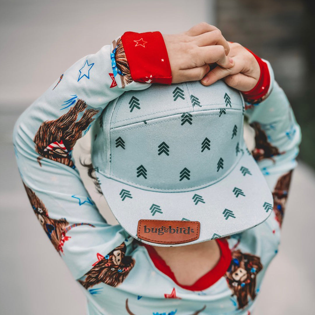 Spruce Snapback