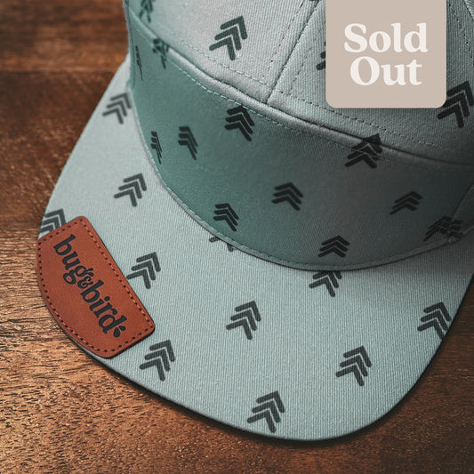 Spruce Snapback