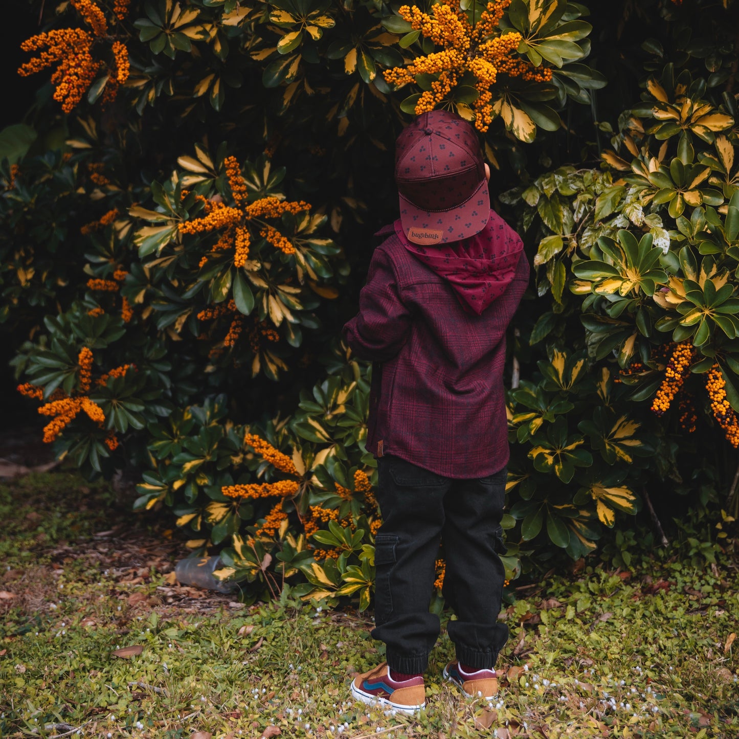 Winterberry Wool Flannel