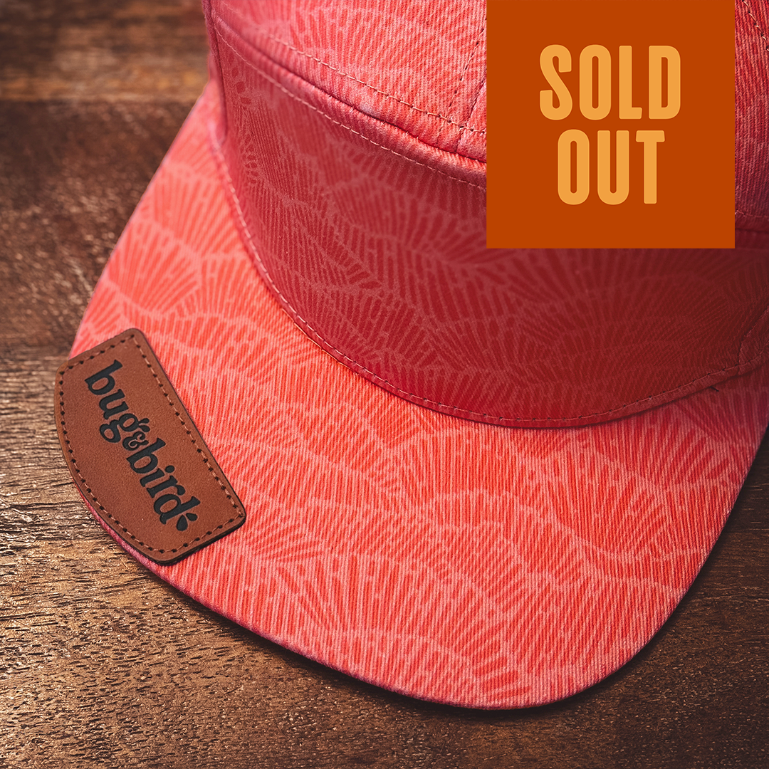 Reef Snapback