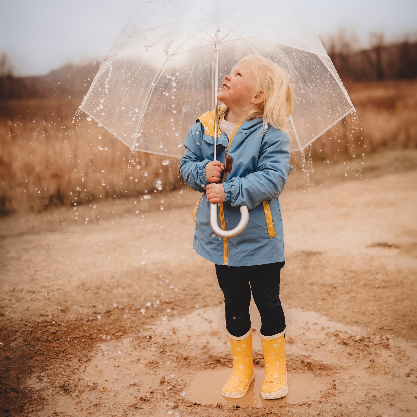 Dandelion Rain Jacket